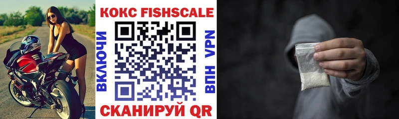 COCAIN FishScale  продажа наркотиков  Нижние Серги 