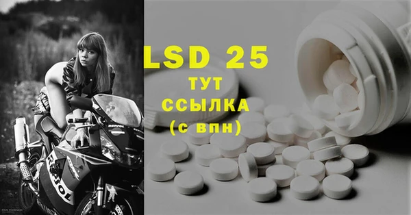 прущие грибы Белокуриха