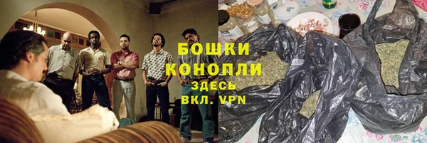 прущие грибы Белокуриха