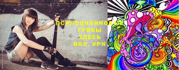 мескалин Гусиноозёрск