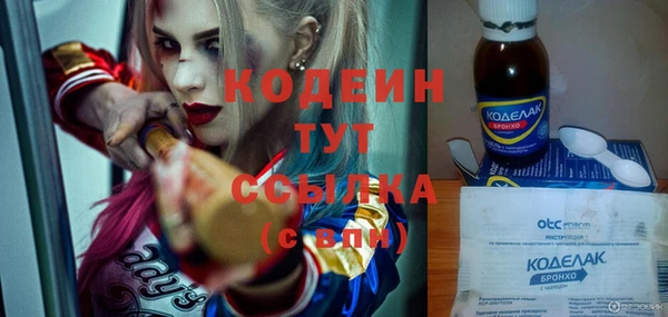 прущие грибы Белокуриха