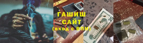 прущие грибы Белокуриха