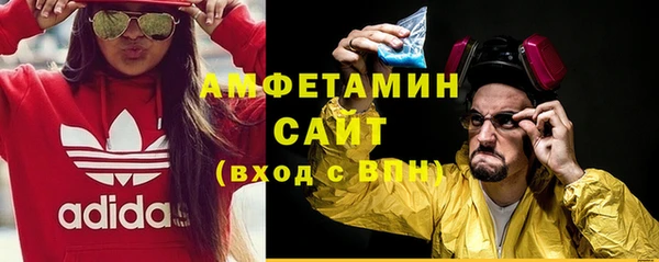 прущие грибы Белокуриха
